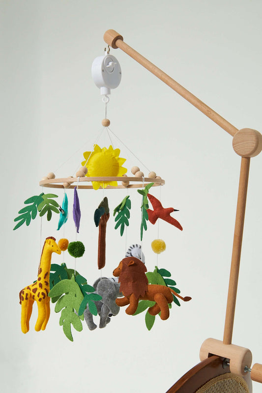 Montessori Baby Mobile Set-1