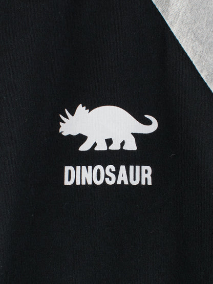 Spring Arrival Kids Dinosaur Logo Crew Neck Long Sleeves Color Patchwork Top-2