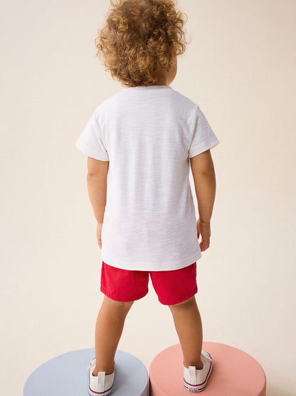 Summer Baby Kids Animals Cartoon Pattern T-shirt and Shorts Clothing Set for Boys-2