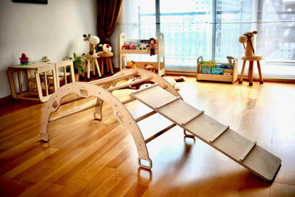 Reversible Ladder Climbing / Sliding Ramp-1